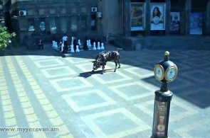 Площадь Шарля Азнавура. Ереван веб камера онлайн