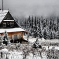 ТОП-5 самых красивых мест для прогулок в Подмосковье