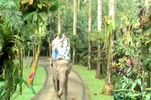 Парк Слонов. Веб камеры Бали онлайн