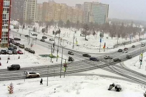 Парк Дружбы. Веб-камеры Нового Уренгоя
