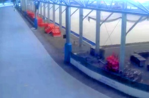 Ледовая арена Ice Rink Haarlem. Веб-камеры Харлем онлайн