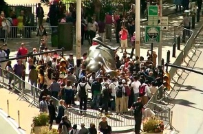 Charging Bull «Атакующий бык» Нью-Йорк веб камера онлайн