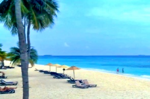 Пляж на острове Куреду. Веб-камеры Мальдив