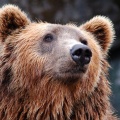 Лучшие курорты России для поездок в 2020 году