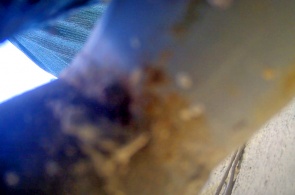 Проспект Кирова. Веб-камеры Пятигорска