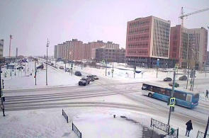 Ул. Дружбы Народов. Веб-камеры Нового Уренгоя