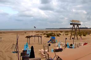 Live Wind in Zeebrugge: ветер в реальном времени