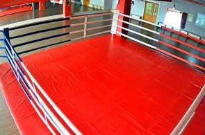 Зал бокса на Кирова. Веб-камеры Петрозаводска