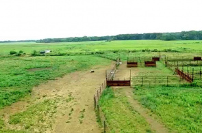 Midewin National Tallgrass Prairie. Веб камеры Чикаго онлайн