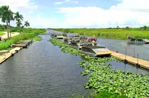Everglades Holiday Park. Веб камеры Форт-Лодердейл онлайн